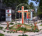 Cruz de Mayo